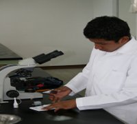 Ingenier&iacute;a en Agroindustrias