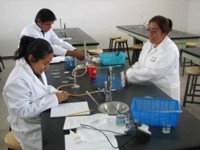 Ingenier&iacute;a en Alimentos