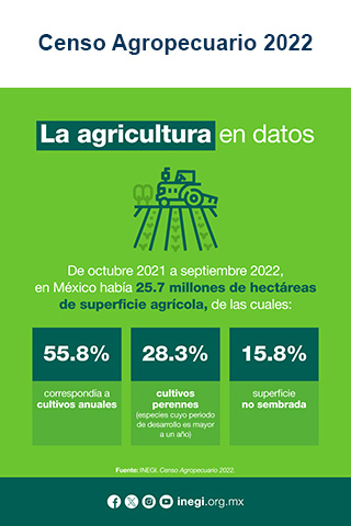 Censo Agropecuario 2022
